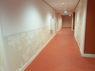 20170117_113008