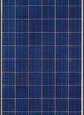 NSP 250Wp Module
