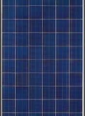 NSP 250Wp Module